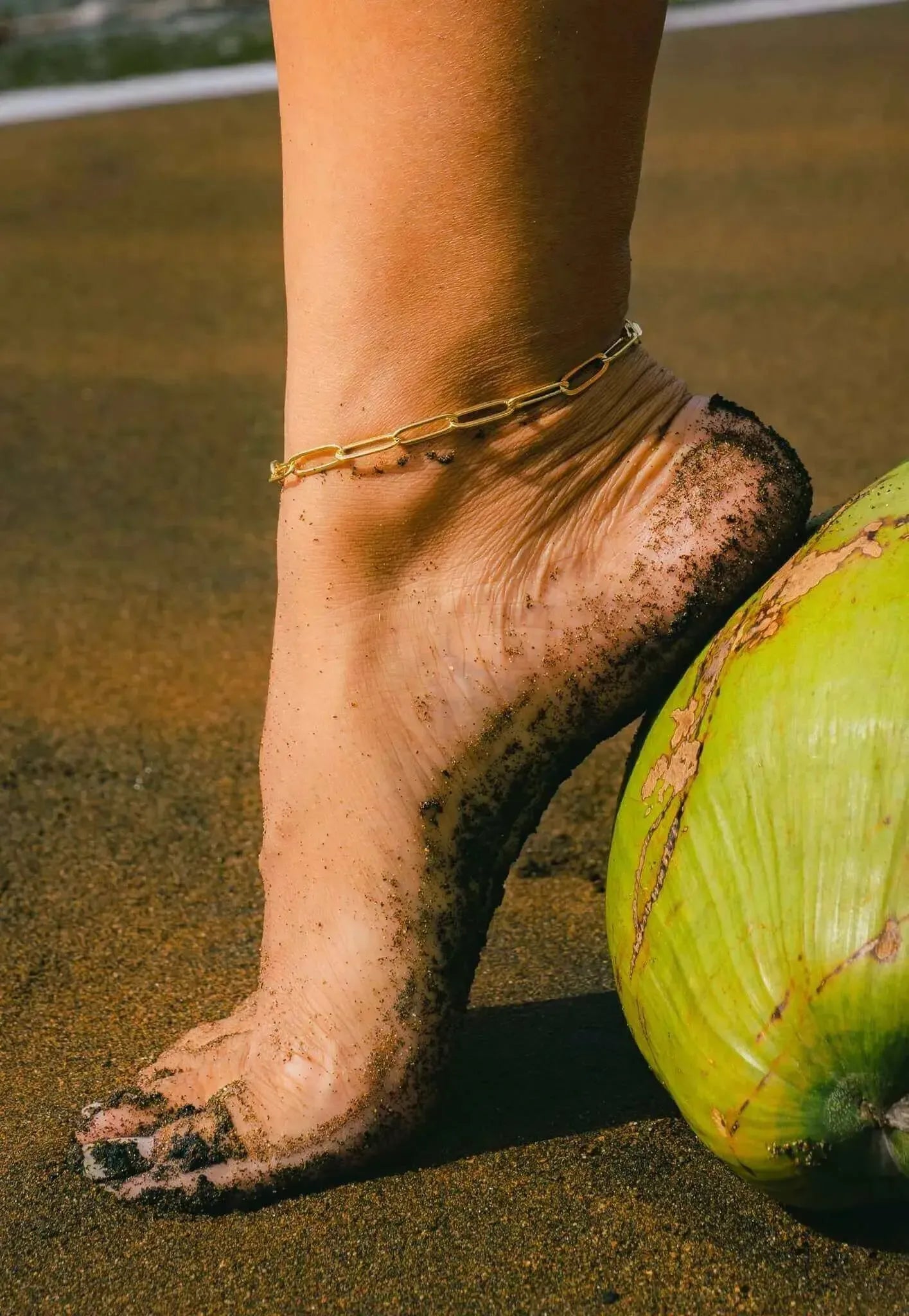 Velani Classic Paperclip Anklet