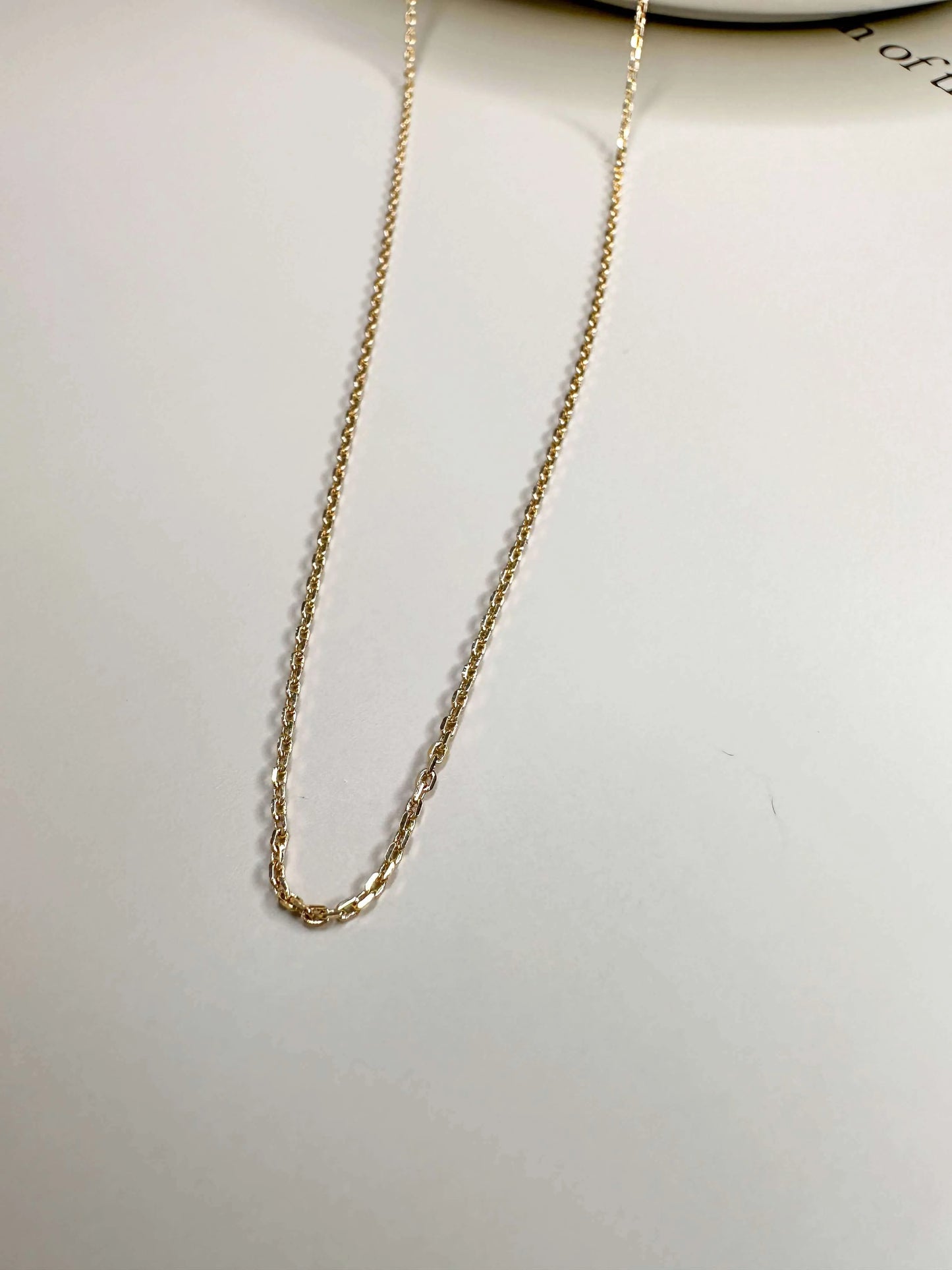 Velani Dainty Link Necklace