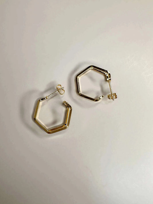 Velani Double Shape Elegance Earrings