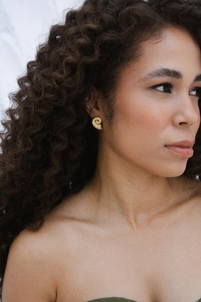 Velani Jewelry Golden Ammonite Studs